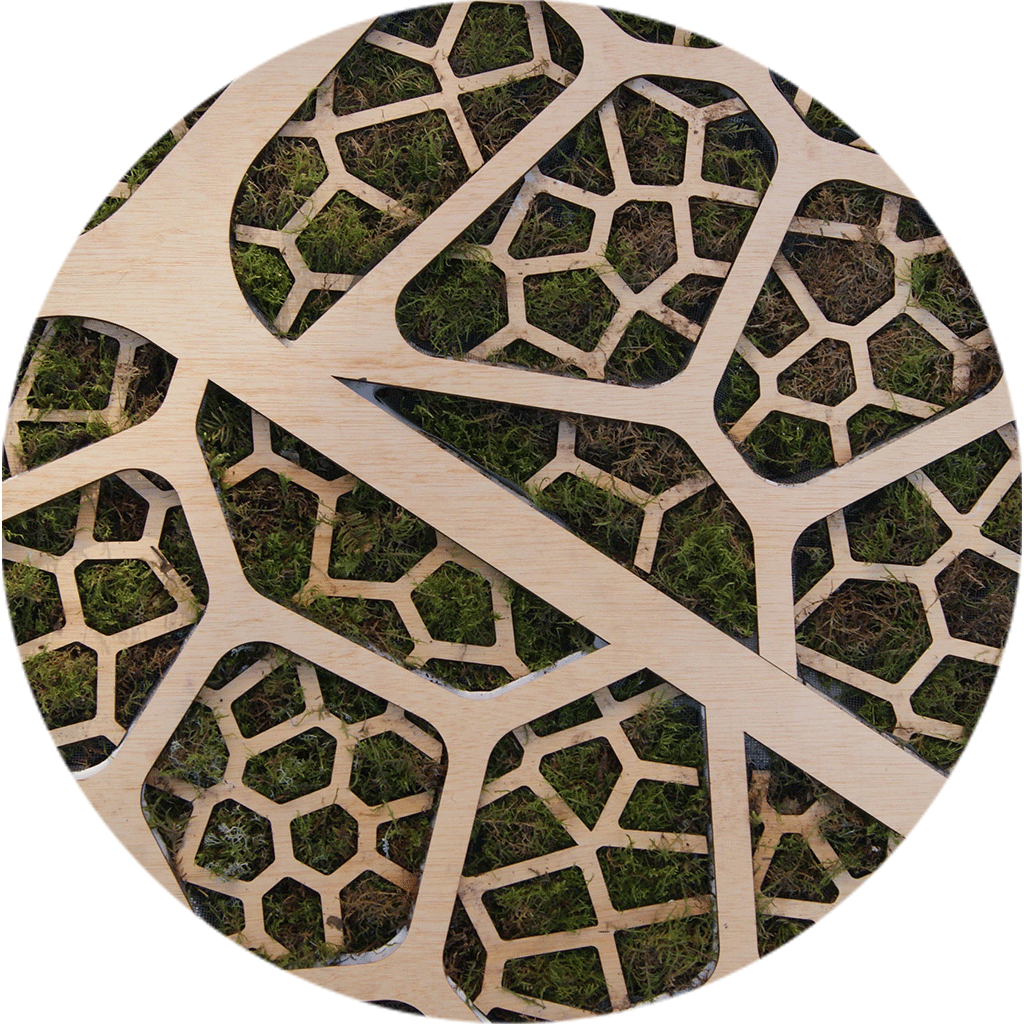 Biophotovoltaic Panel